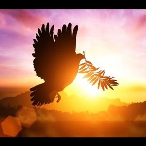 Meet your Posher, Jorana